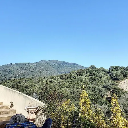 Grand Spacieux A 5 Min Du Centre Appartement